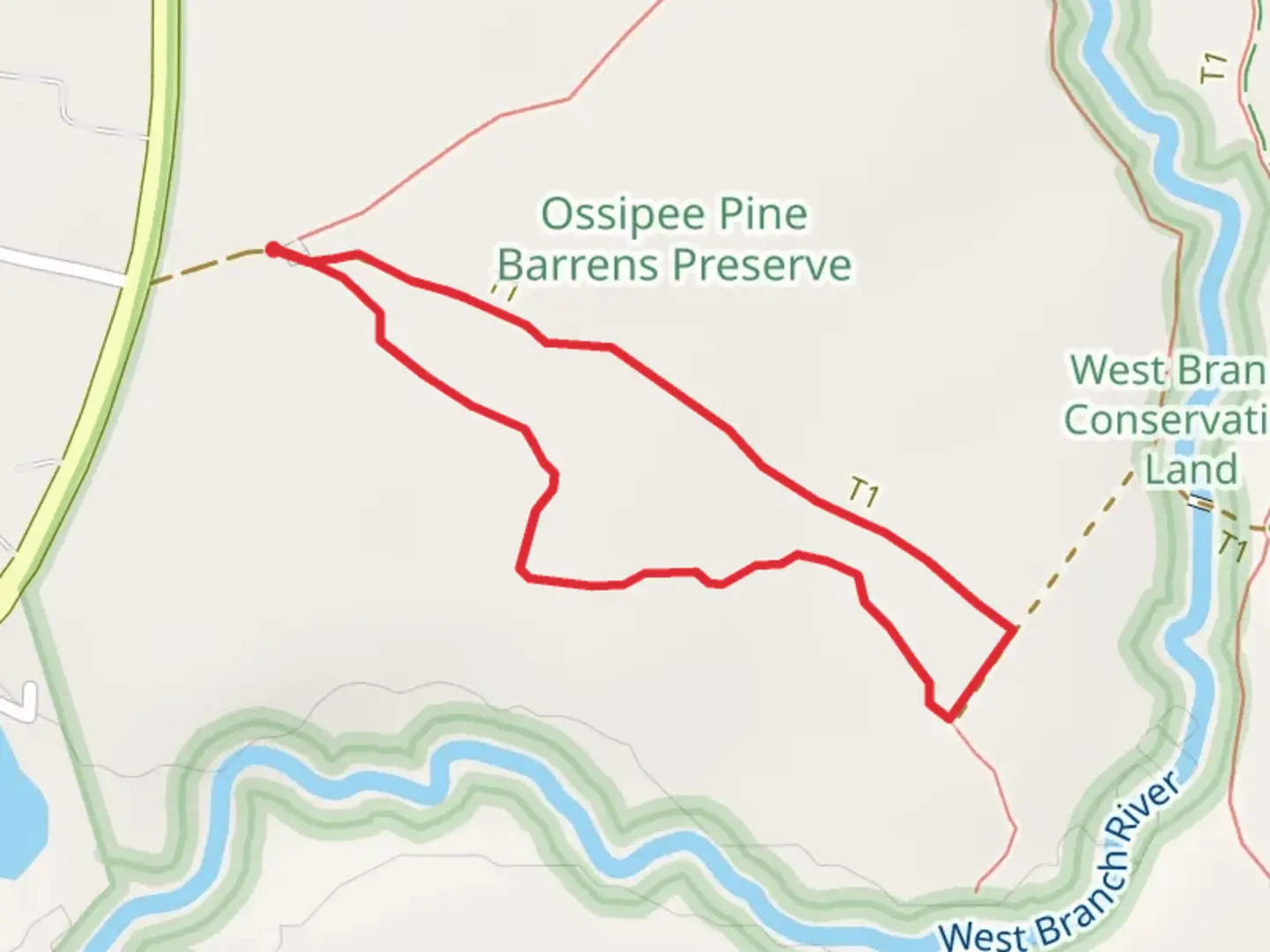 An image depicting the trail Ossipee Pine Barrens Accessible Trail Loop and its surrounding area.
