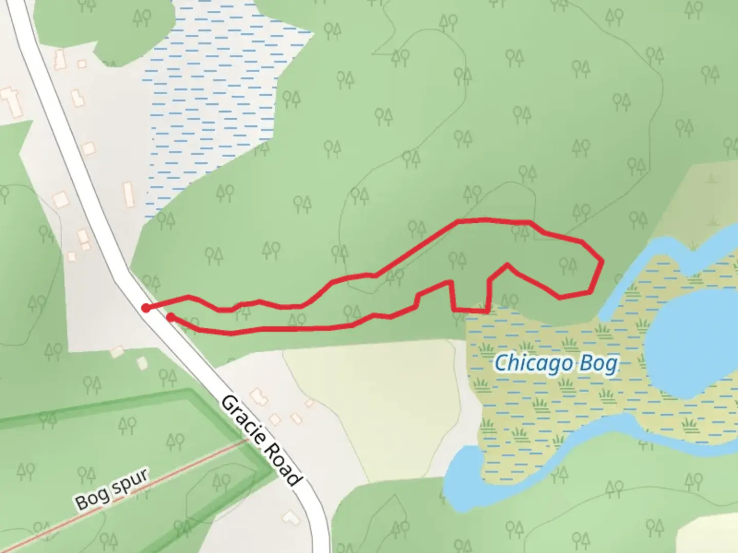 An image depicting the trail Gracie Road Loop and its surrounding area.