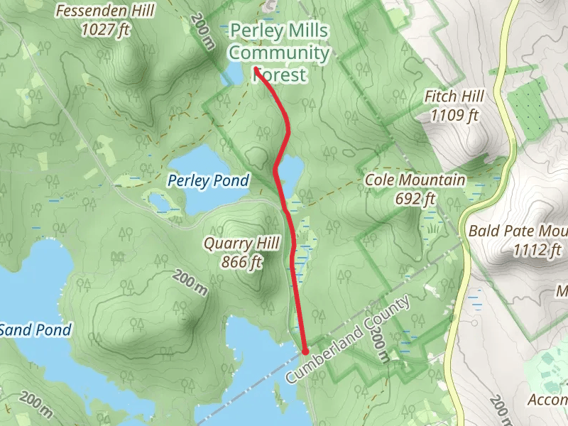 Pickerel Pond from Hancock Pond Road