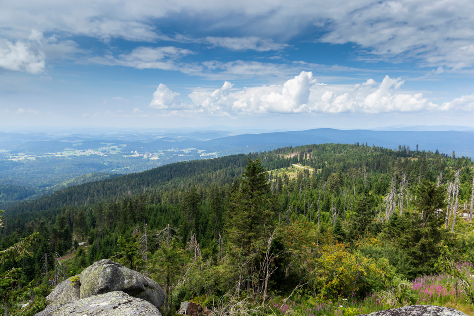 An image depicting the trail Nordwaldkammweg and its surrounding area.