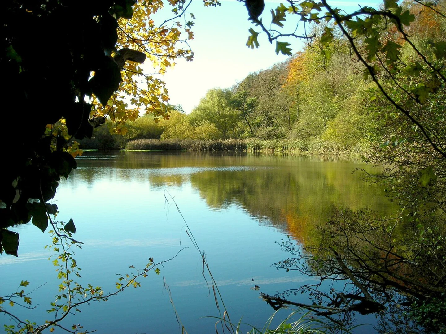 An image depicting the trail Doorstep Walk and its surrounding area.