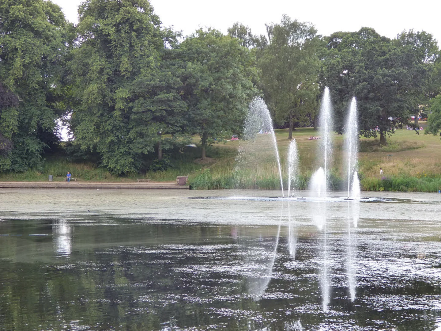 An image depicting the trail Waterloo Lake and Roundhay Park Loop and its surrounding area.
