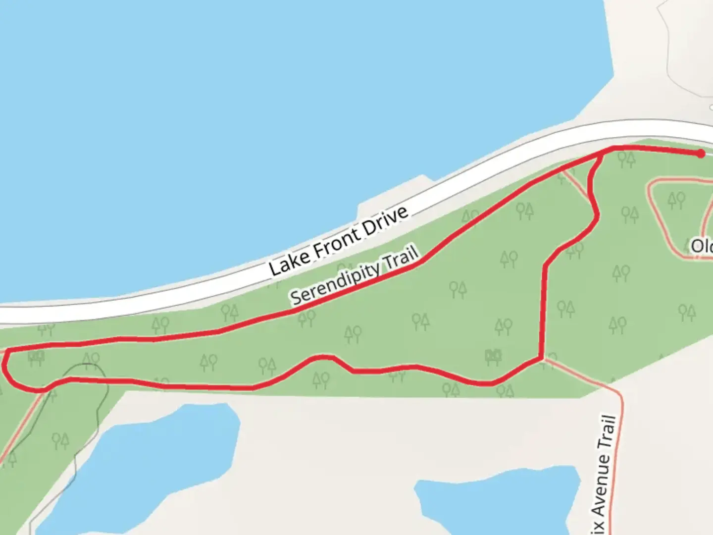 An image depicting the trail Lake Front Drive Loop and its surrounding area.
