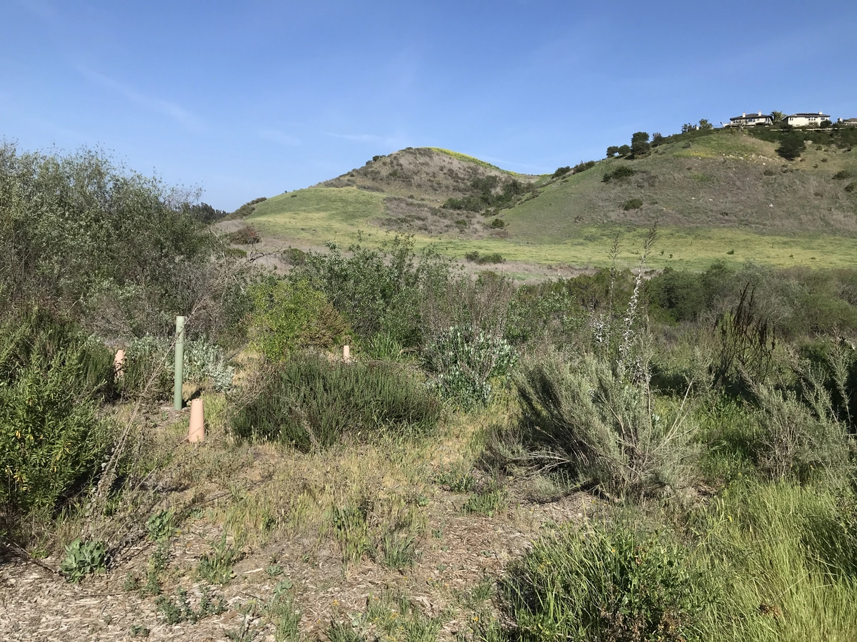 Car Wreck - Mathis Canyon - Wood Canyon Loop Trail