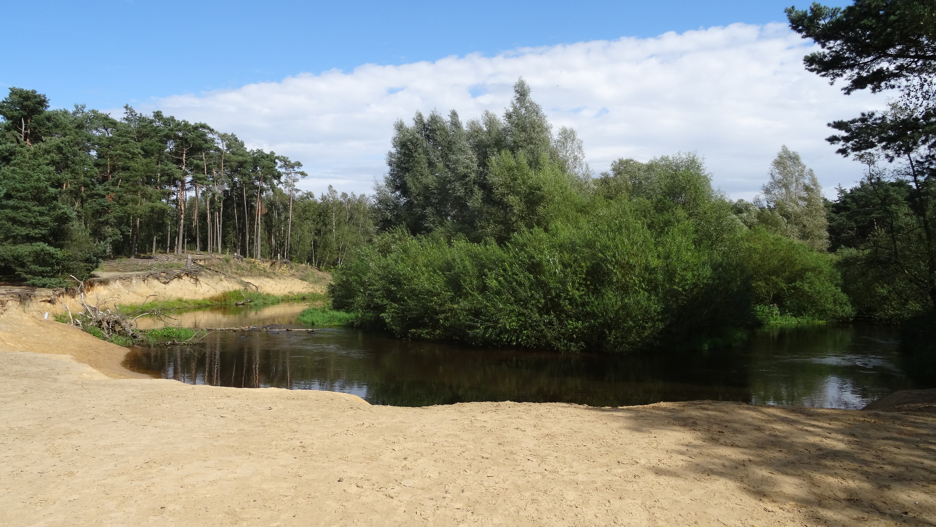 An image depicting the trail Kalheupinkpark and Landgoed De Wilmersberg Loop and its surrounding area.