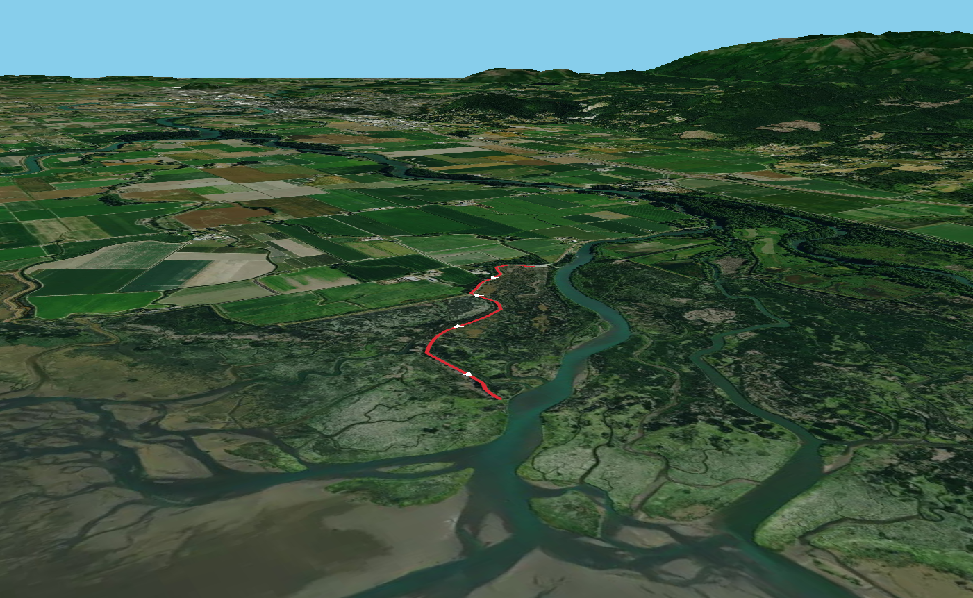 Walk along Wiley Slough