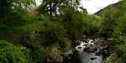 An image depicting the trail Creag Choinnich Trail and its surrounding area.