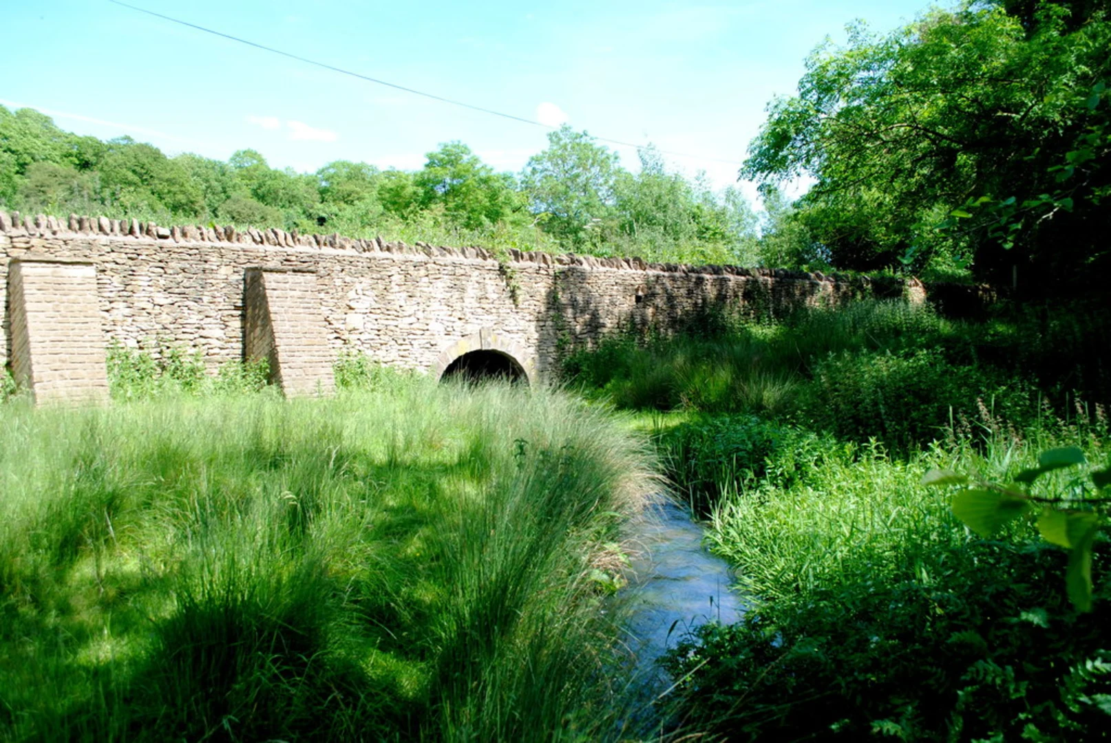 An image depicting the trail Gunning's Wood and Drifton Hill and its surrounding area.