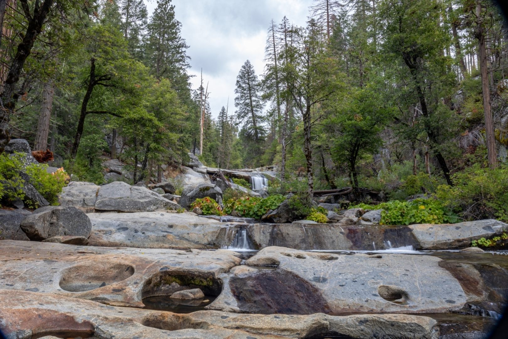 An image depicting the trail Carlon Falls Trail and its surrounding area.