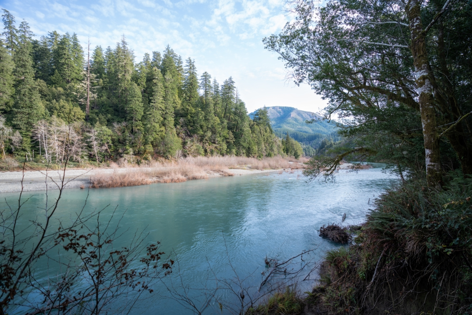 An image depicting the trail Chetco Gorge Trail and its surrounding area.