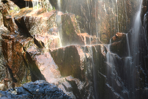 An image depicting the trail Amphitheatre Trail via Hadlock Brook Trail and its surrounding area.