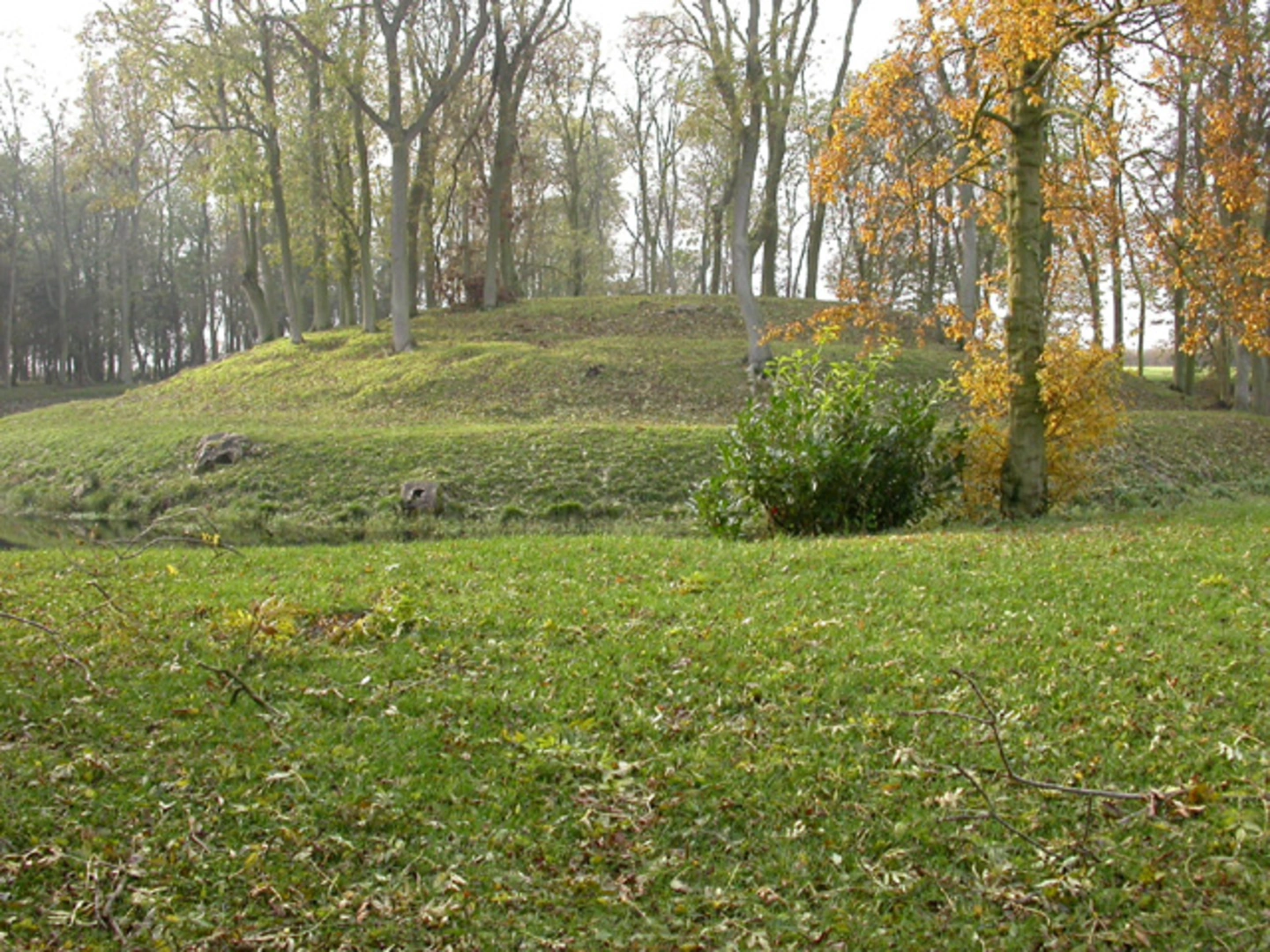 An image depicting the trail Wadenhoe Great Wood Loop and its surrounding area.