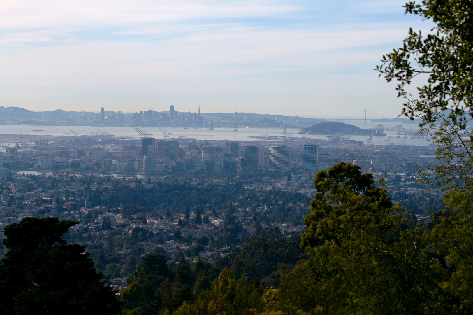 An image depicting the trail Sunset and Sequoia Bay View Loop Trail and its surrounding area.