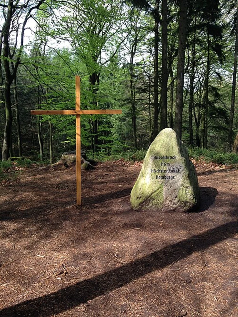 An image depicting the trail Hasselbrack Loop via Wanderweg 24 and its surrounding area.
