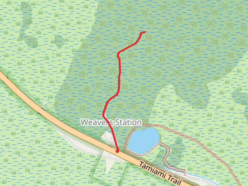 Big Cypress Boardwalk