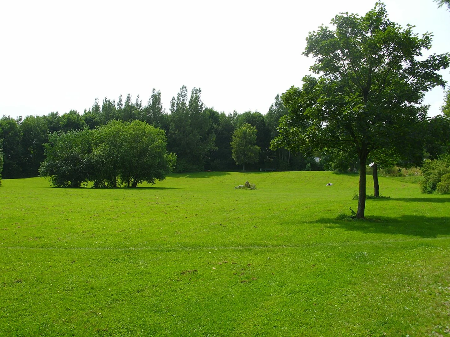 An image depicting the trail Stoppenberg and Schonnebeck Loop and its surrounding area.