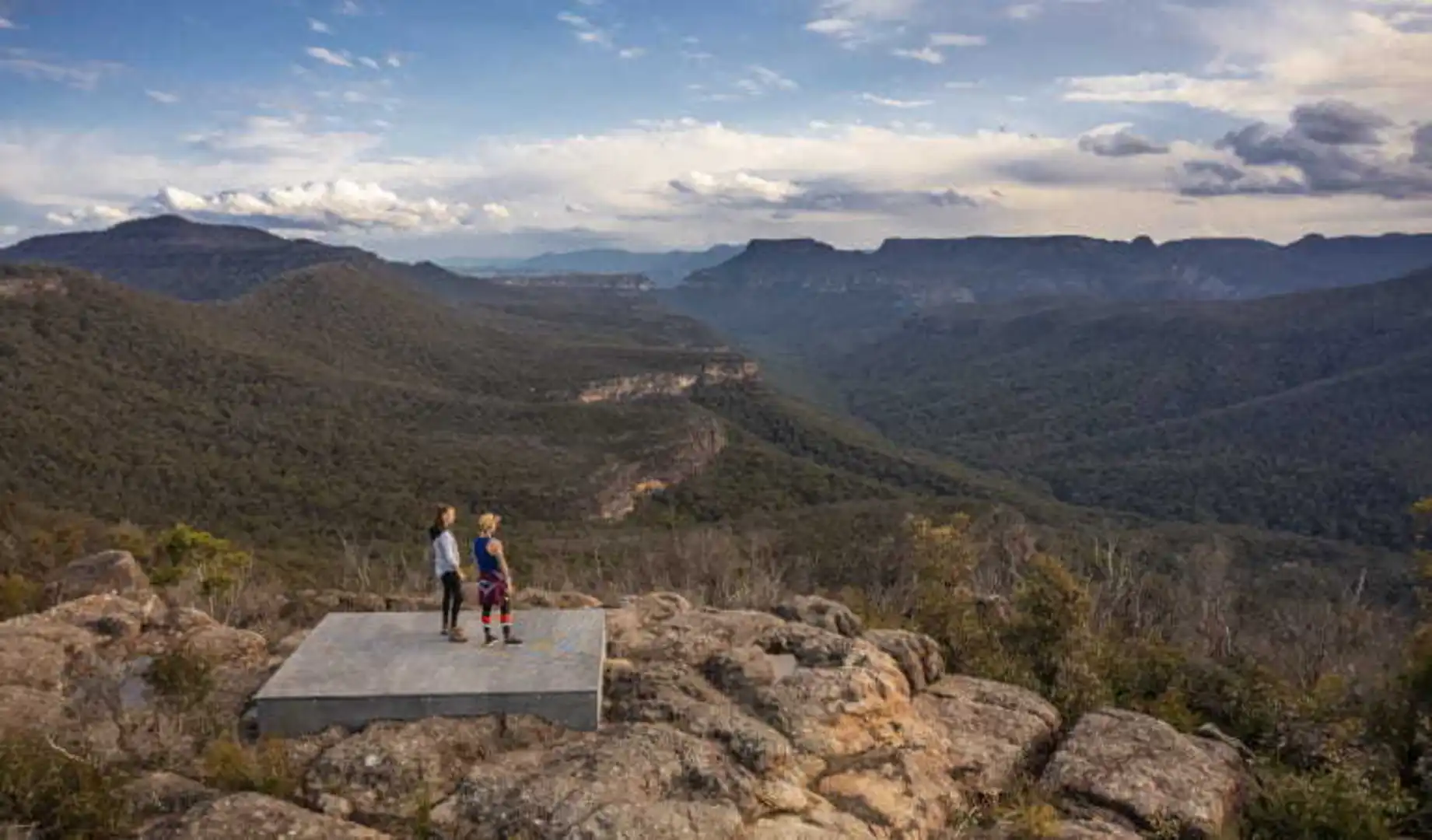 An image depicting the trail Mount Bushwalker Track and its surrounding area.