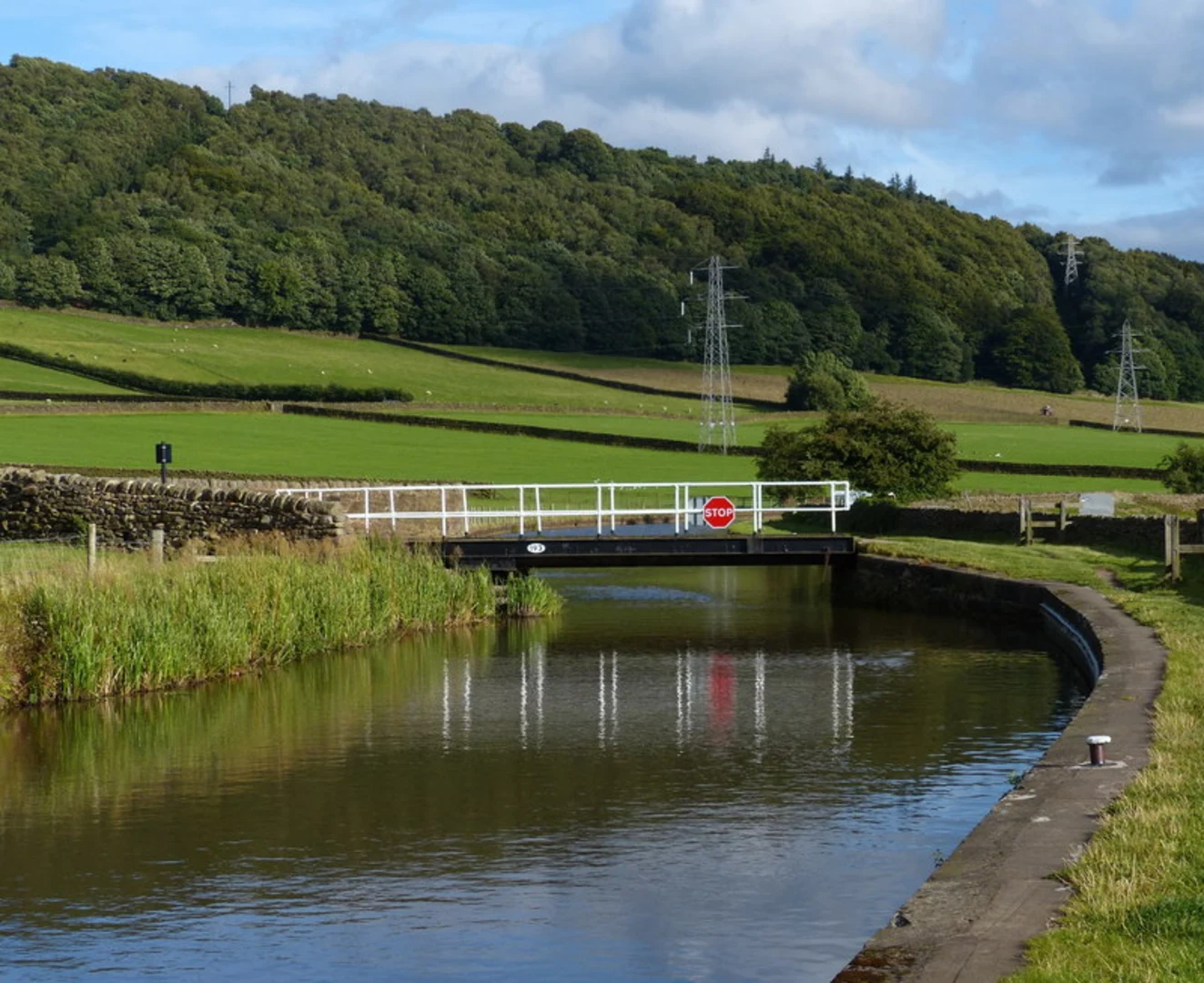 An image depicting the trail Jay Tail Wood, Alder Carr Wood and Lees and Liverpool Canal and its surrounding area.