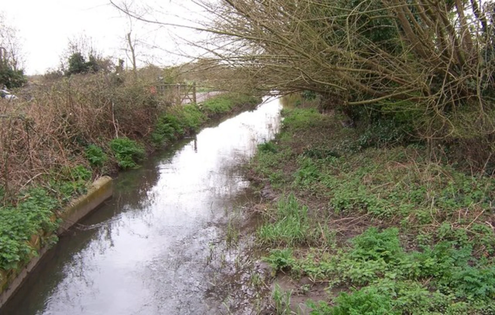 An image depicting the trail Titchfield Canal Walk and its surrounding area.