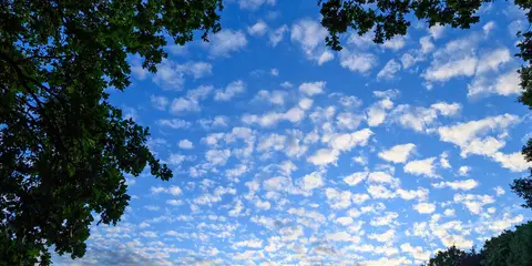 An image depicting the trail Green Chain Walk and its surrounding area.
