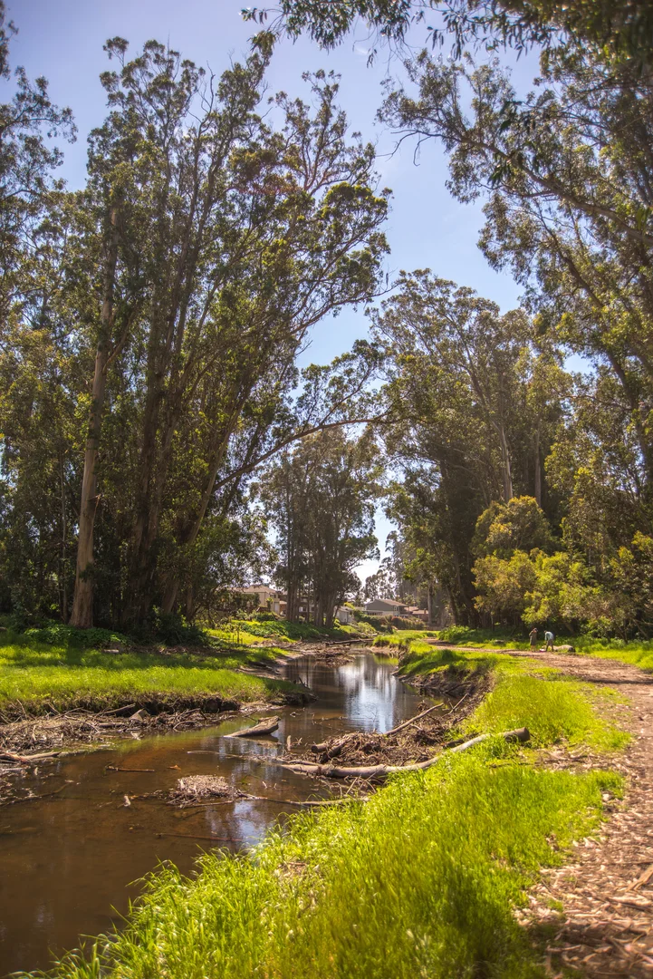 An image depicting the trail Moran Lake Trail and Moran Way and its surrounding area.