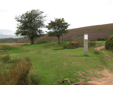 An image depicting the trail Bicknoller Post and Lady's Edge Loop and its surrounding area.