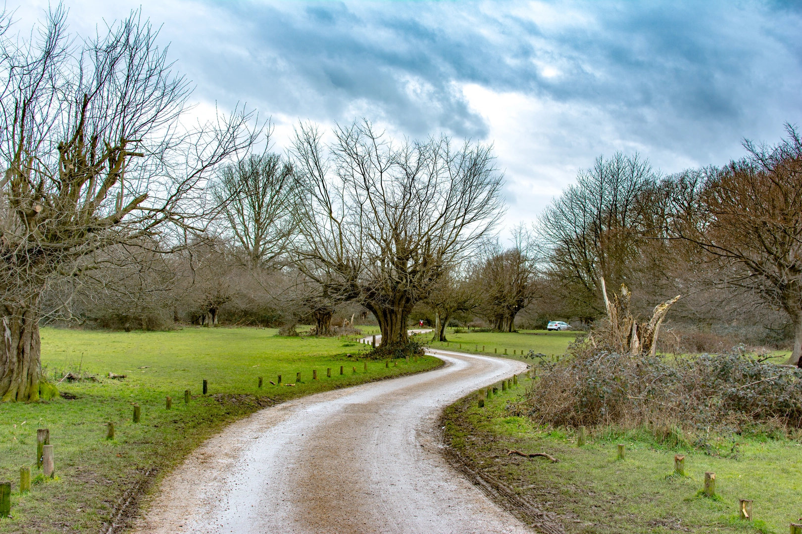 An image depicting the trail Flitch Way and its surrounding area.