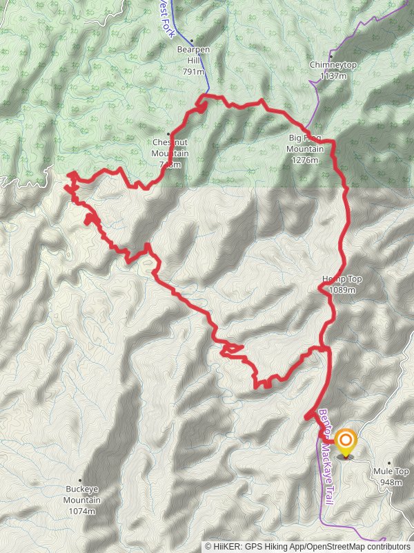 Hemp Top, Big Frog Mountain and Chestnut Mountain vis Beech Bottom Loop
