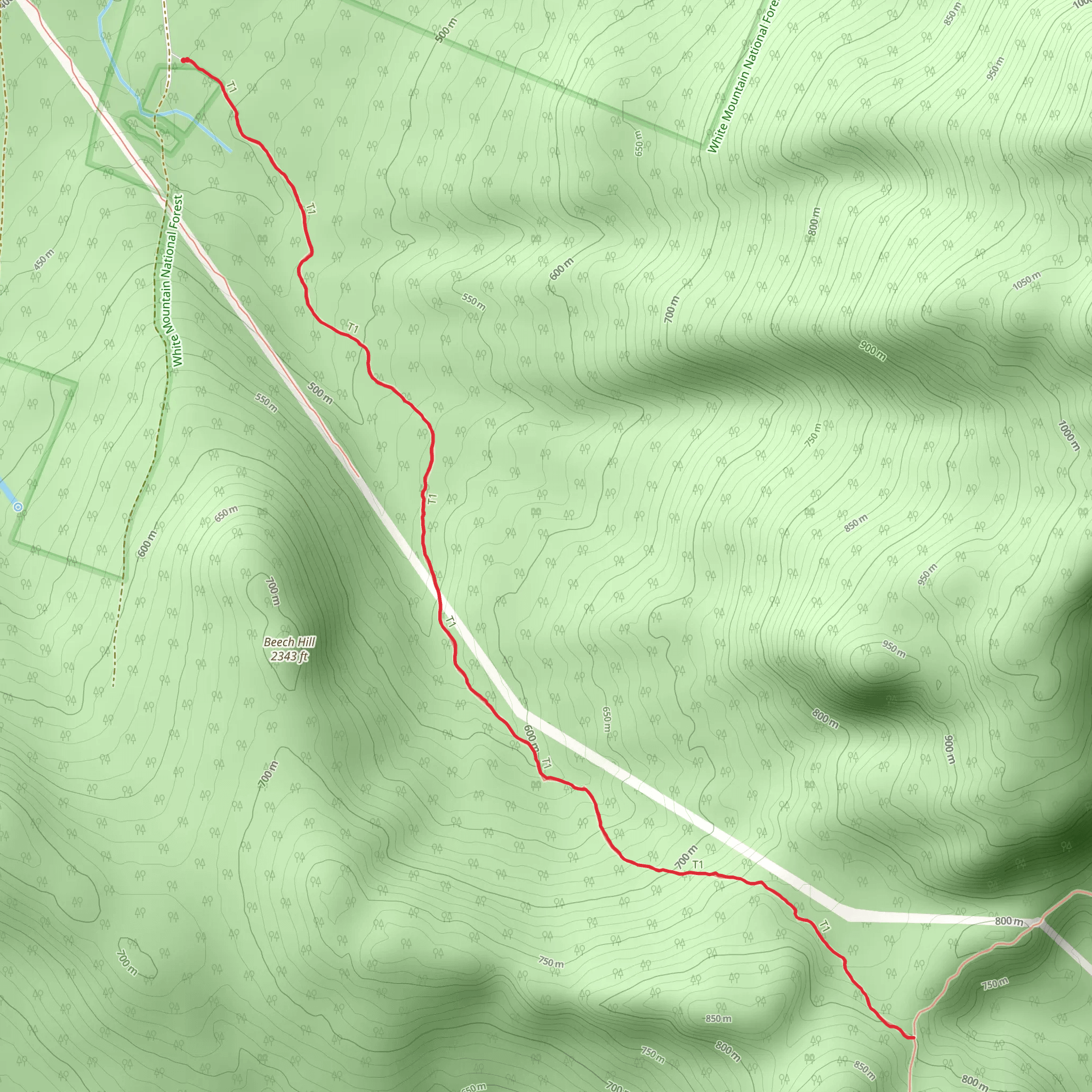 Reel Brook Trail mobile static map