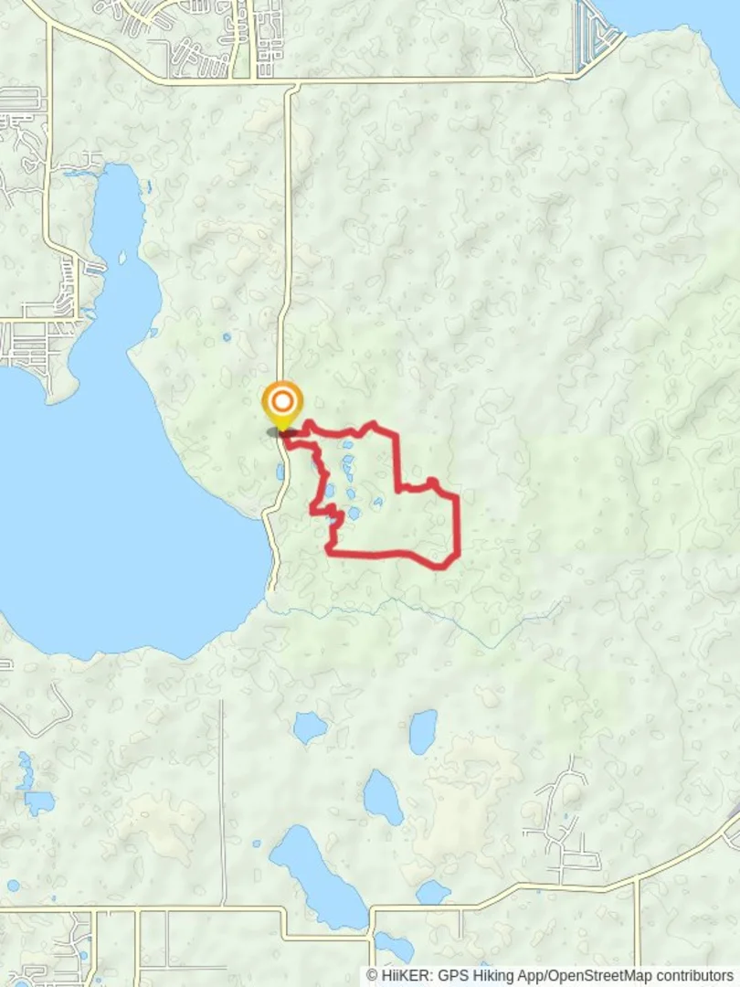An image depicting the trail Firetower Road Loop and its surrounding area.