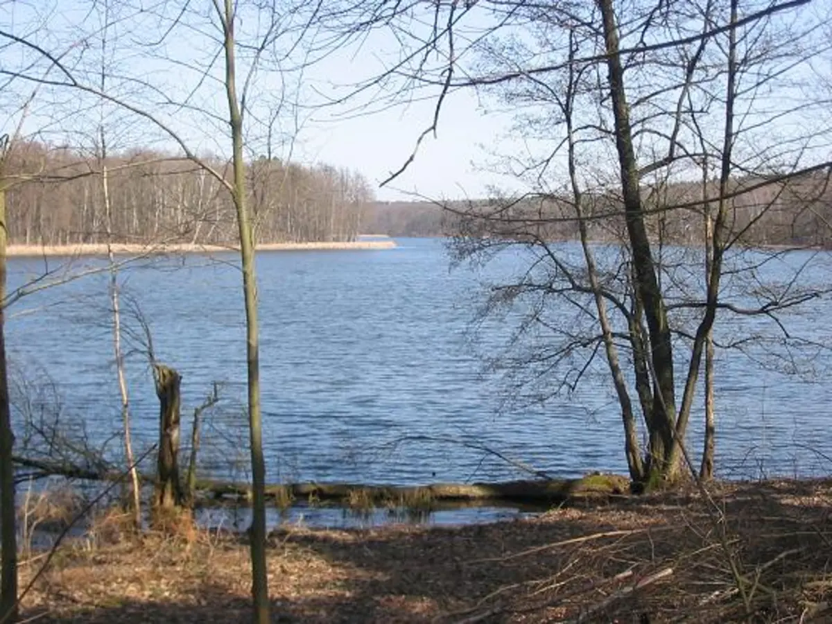 Grunewaldsee Loop via Wannseeweg