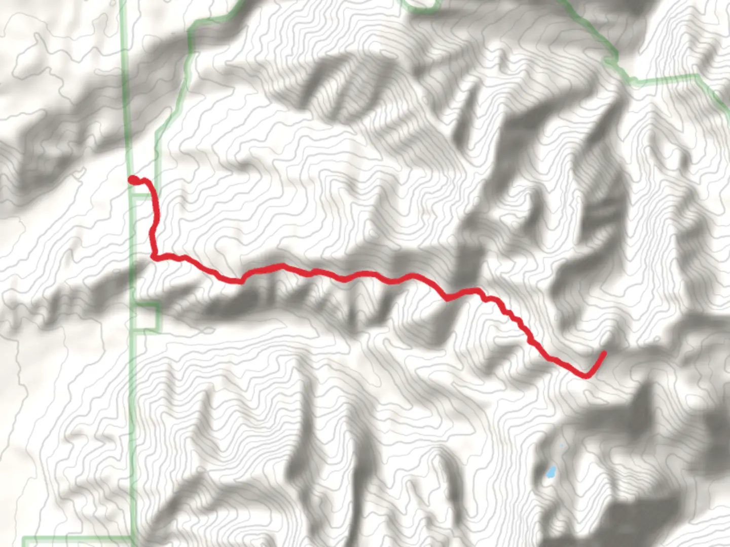 An image depicting the trail Elephanthead Mountain via Suce Creek Trail and its surrounding area.