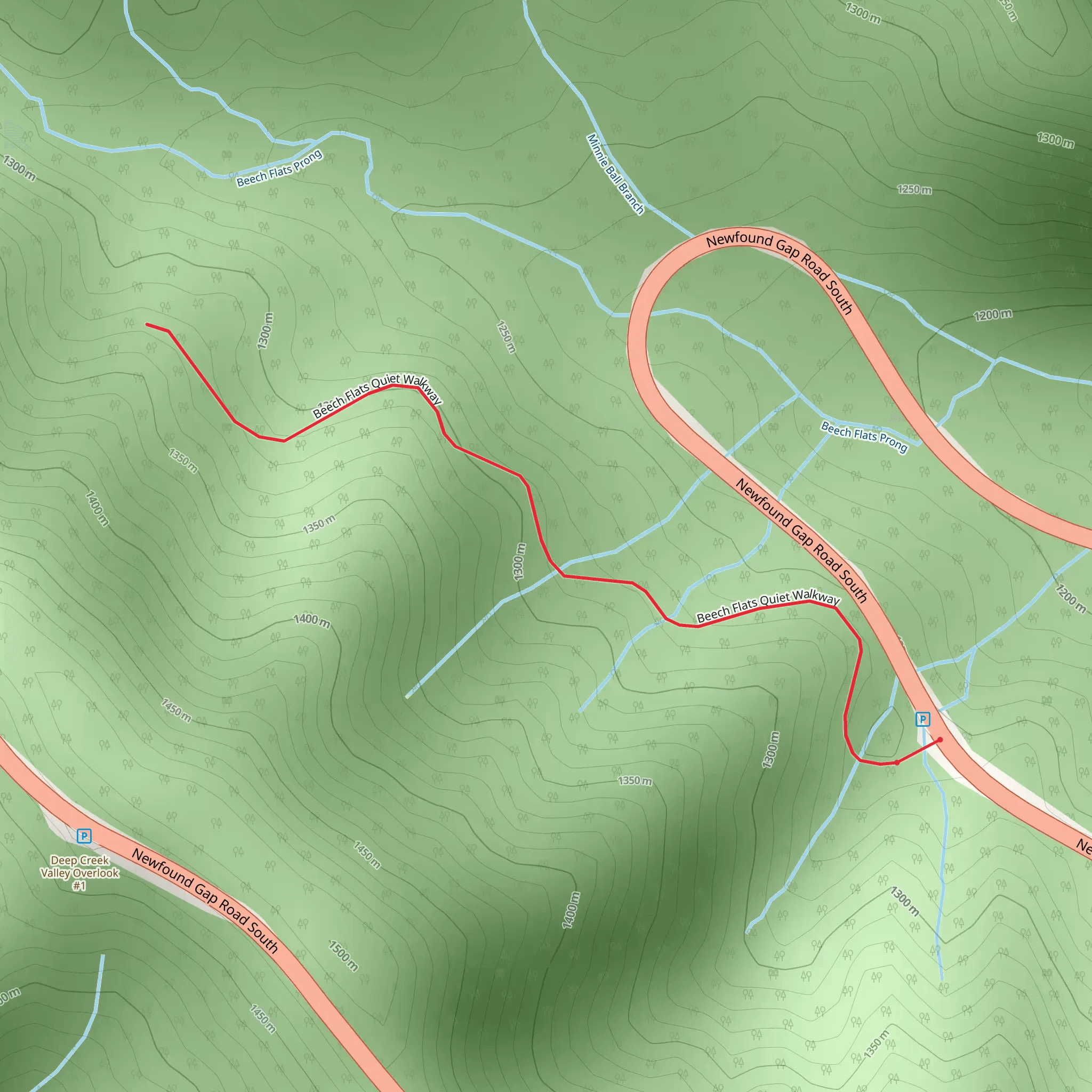 Beech Flats Quiet Walkway mobile static map