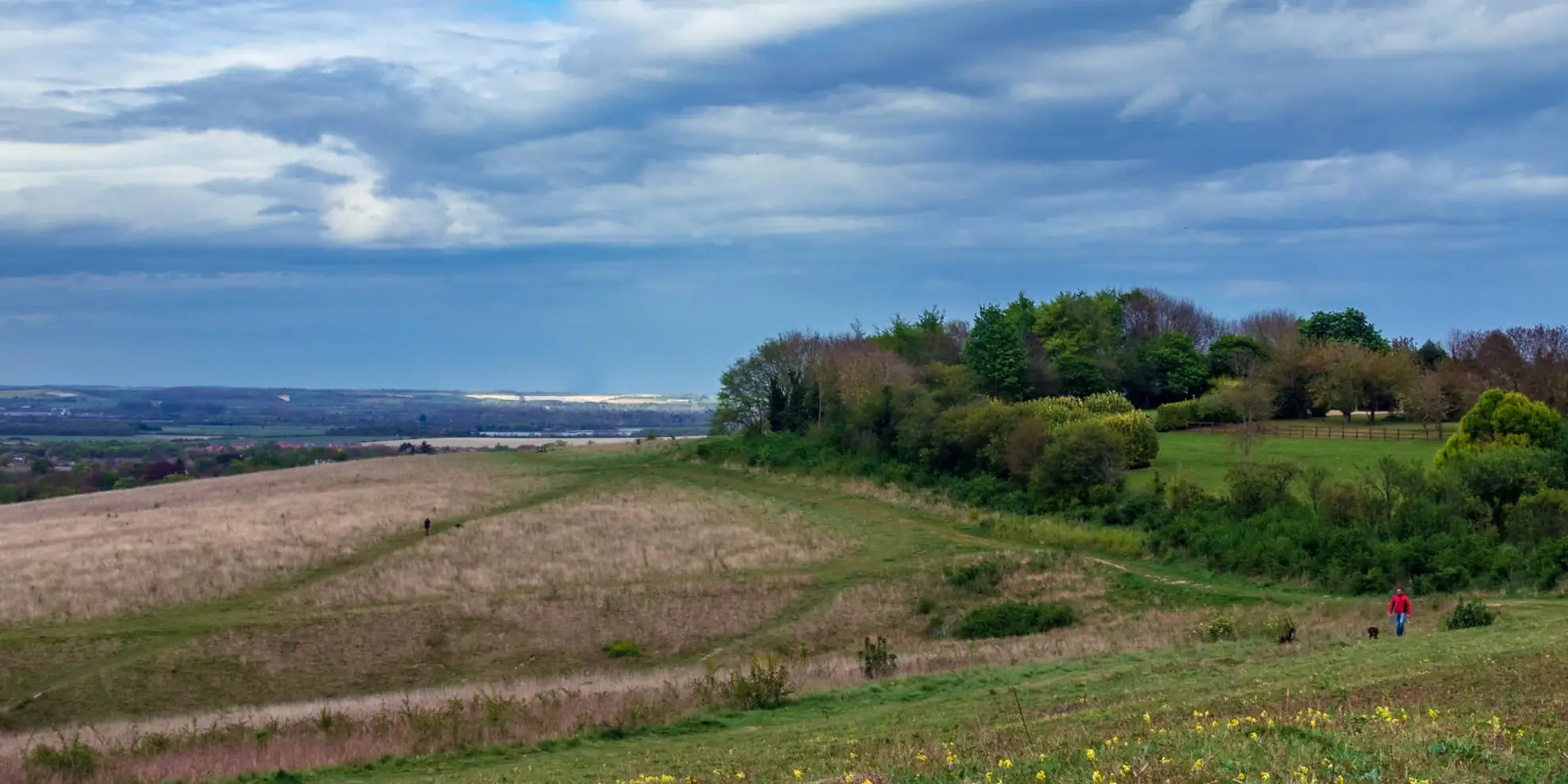 An image depicting the trail Therfield Heath Circular and its surrounding area.