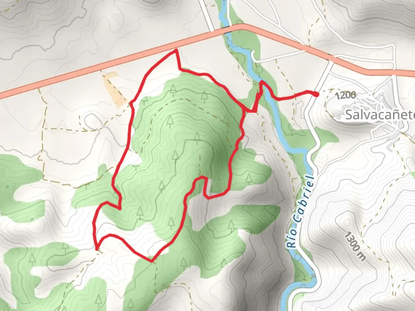 An image depicting the trail Paths of Souls PR CU 99 and its surrounding area.