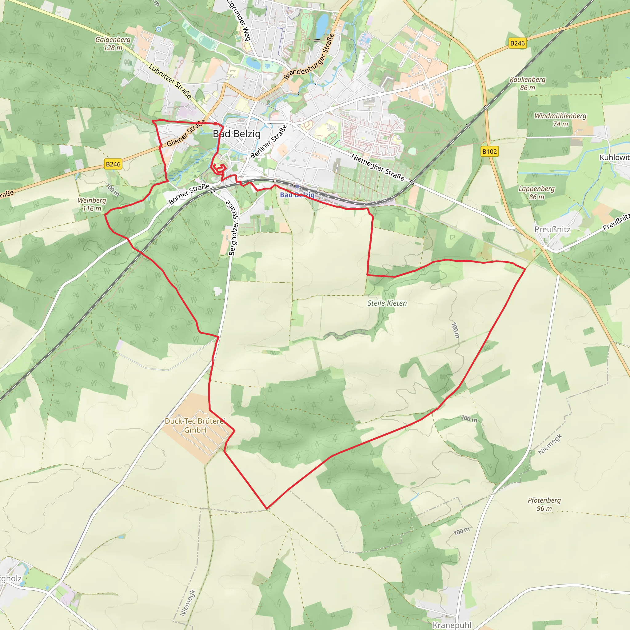 Terrainkurweg Bad Belzig and Burgenwanderweg mobile static map
