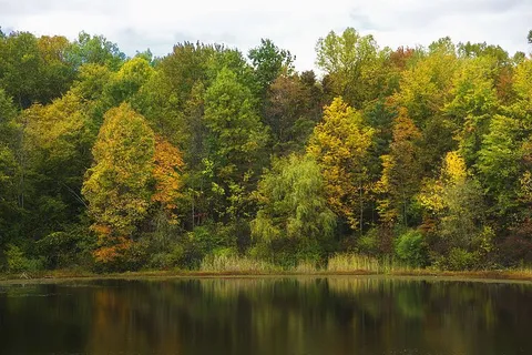 An image depicting the trail Plateau Trail and its surrounding area.