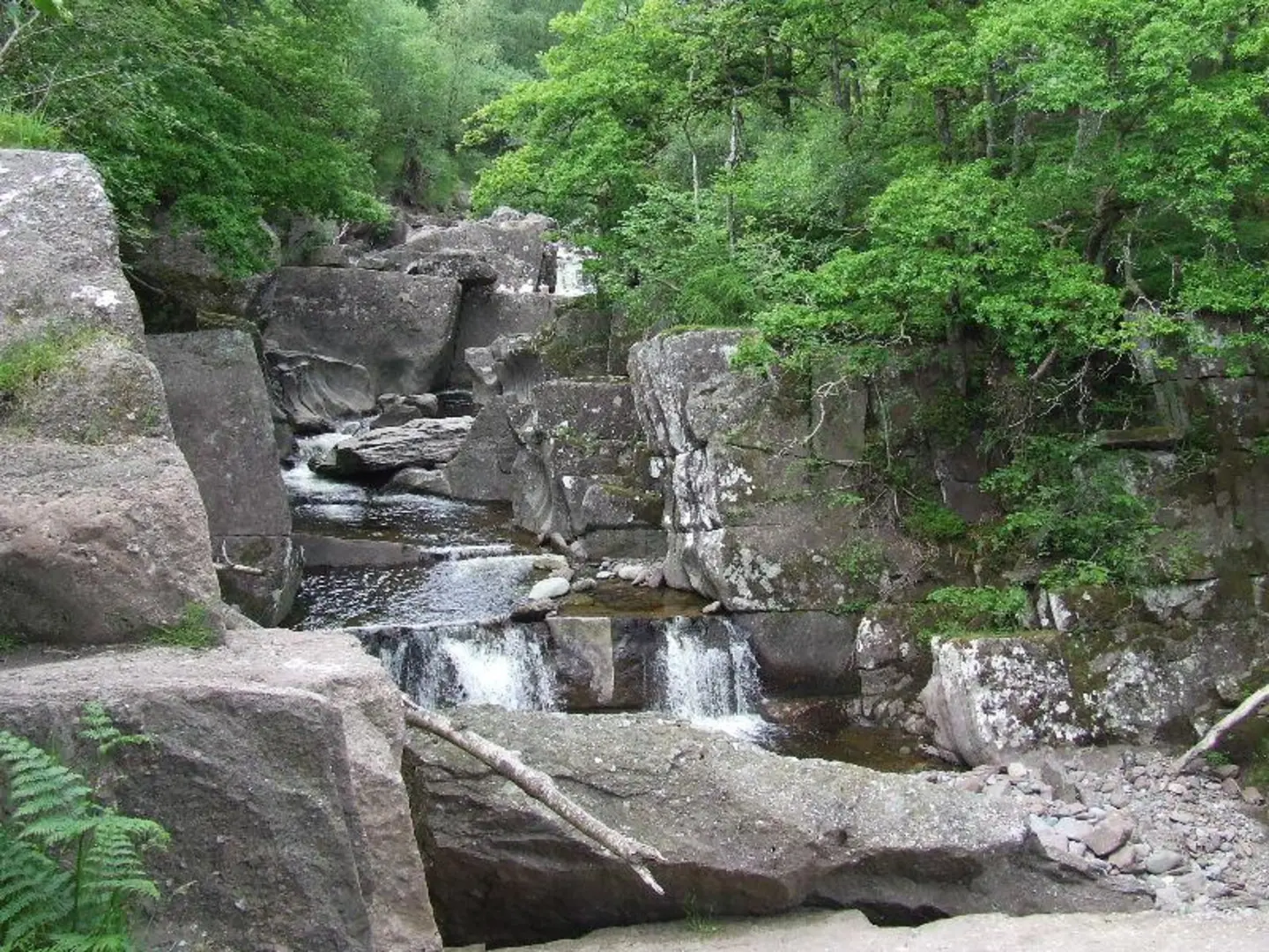 An image depicting the trail Bracklinn Falls Circuit Trail and its surrounding area.