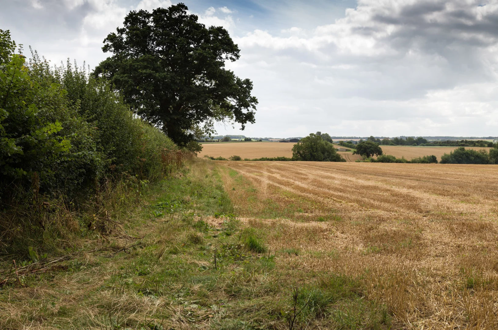 An image depicting the trail Chipping Campden to Blockley circular and its surrounding area.