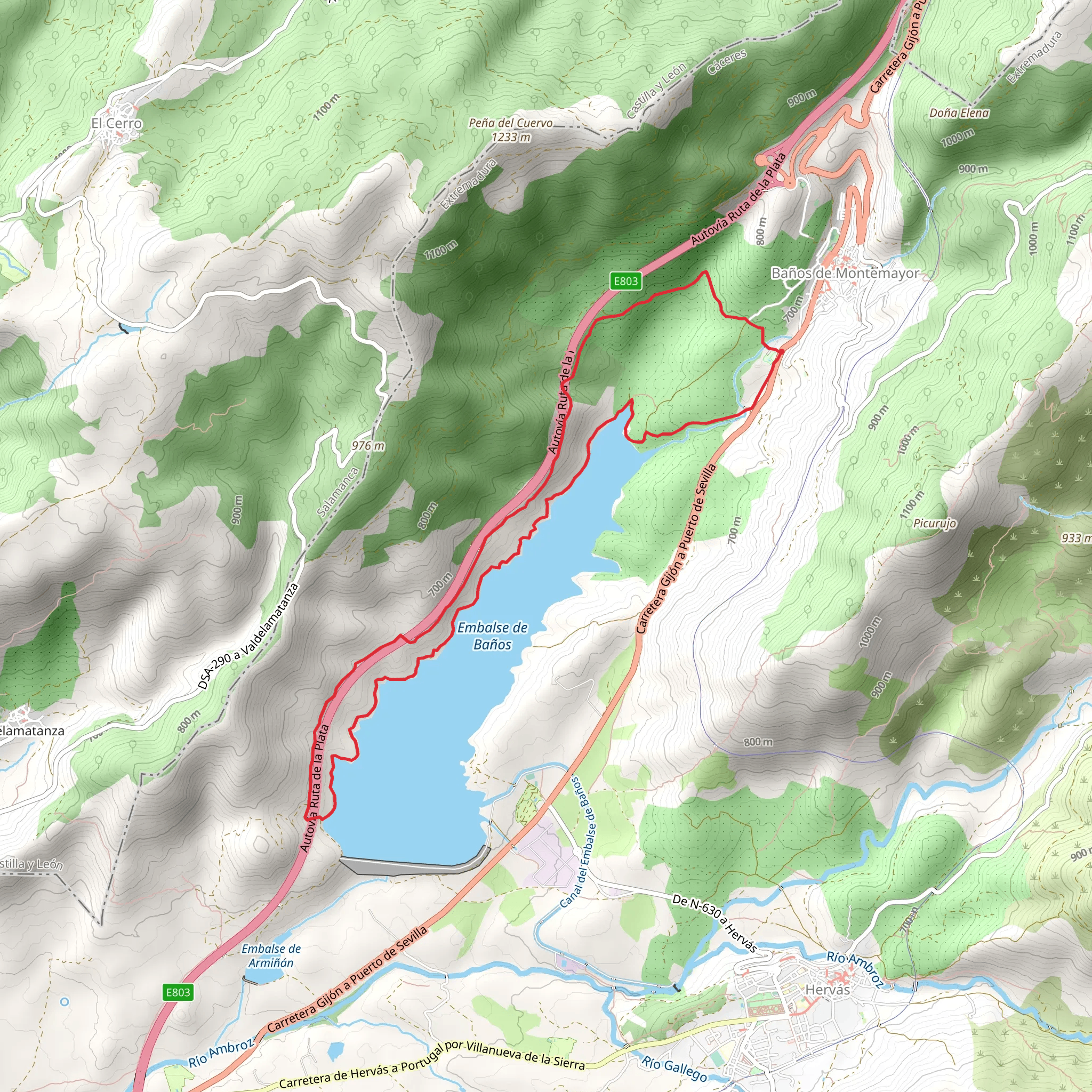 Baños Swamp PR CC 40 mobile static map