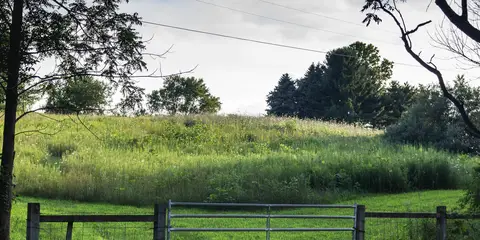 An image depicting the trail Kal-Haven Trail and its surrounding area.