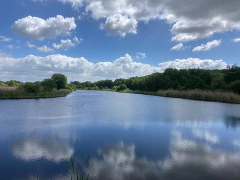 Jipsinghuizen to Laude via Westerwoldepad