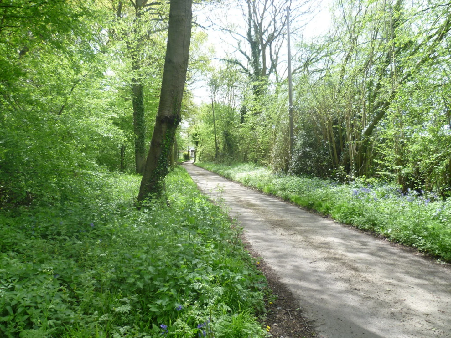 An image depicting the trail Borough Green to Wateringbury Walk and its surrounding area.