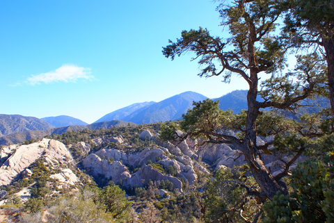 An image depicting the trail Burkhart Trail and its surrounding area.