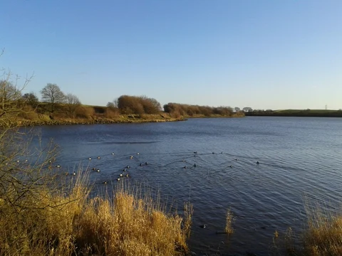 An image depicting the trail Ardsley Reservoir Loop and its surrounding area.