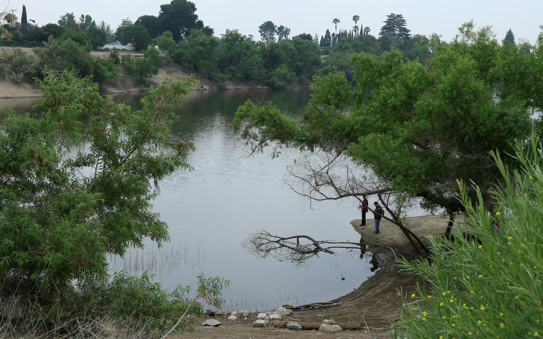 An image depicting the trail Peck Road Park Service Road Loop and its surrounding area.