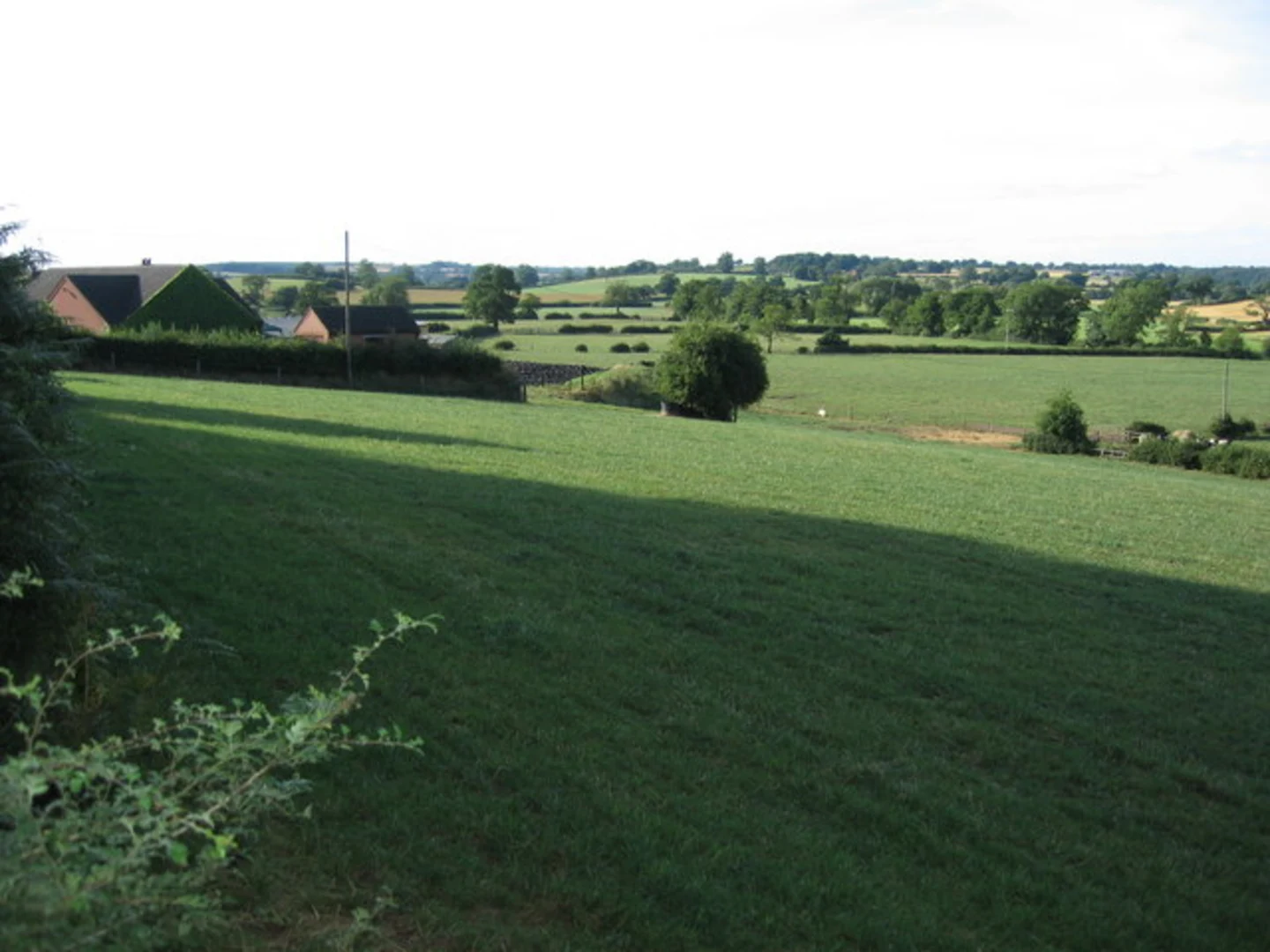 An image depicting the trail Dimsdale Plantation Loop and its surrounding area.