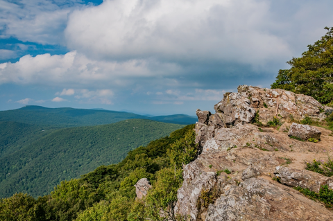 An image depicting the trail Salamander Trail via Hawksbill Mountain Trail and its surrounding area.