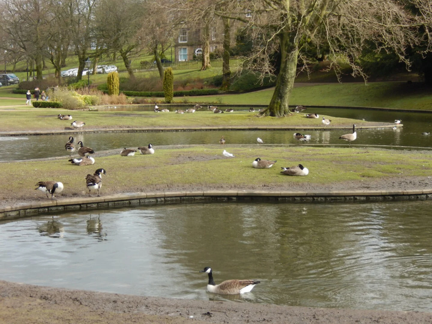 An image depicting the trail Pavilion Gardens Buxton Loop and its surrounding area.