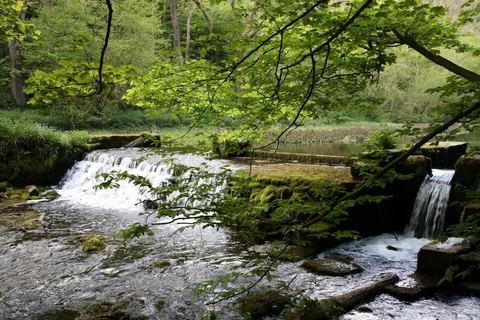 An image depicting the trail Over Haddon Country Park and Lathkill Dale Nature Reserve and its surrounding area.